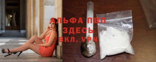 мдпв Богородск