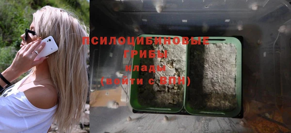 мдма Белокуриха