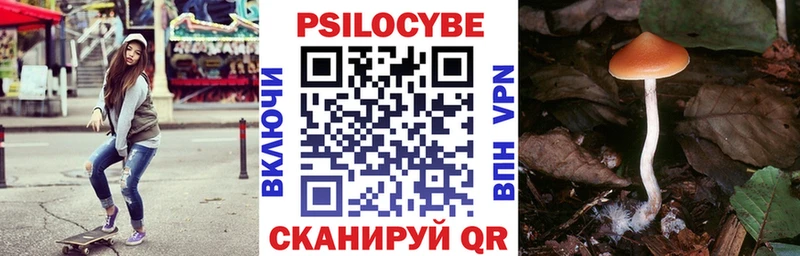 магазин продажи   Усолье  kraken вход  Галлюциногенные грибы GOLDEN TEACHER 